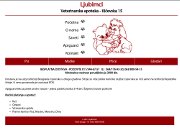ljubimci.co.rs - 381info.com