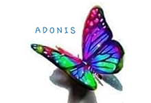 ADONIS HAIR SALOON